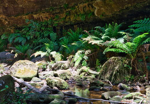 Australien 20131220 0199