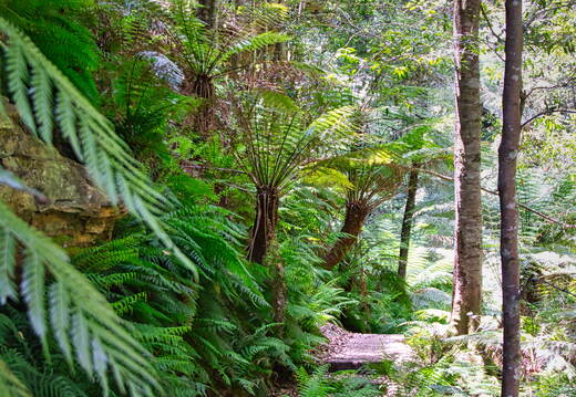 Australien 20131220 0207