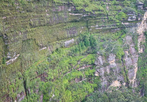 Australien 20131220 0226