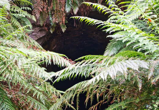 Australien 20131222 0297