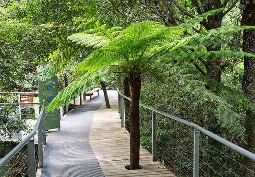 Australien 20131223 0322