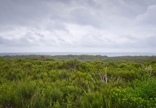 Australien 20131225 0357