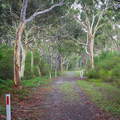 Australien 20131225 0358