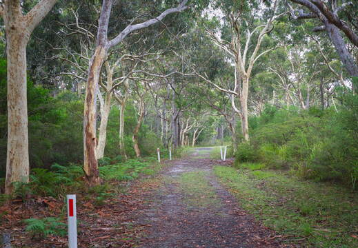 Australien 20131225 0358