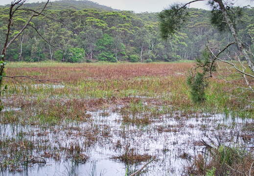 Australien 20131225 0375