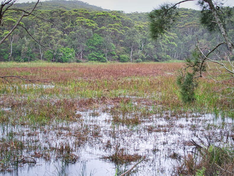 Australien 20131225 0375