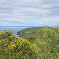 Australien 20131226 0382