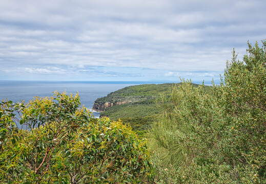 Australien 20131226 0382