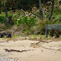 Australien 20131226 0395