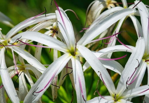 Australien 20131226 0403