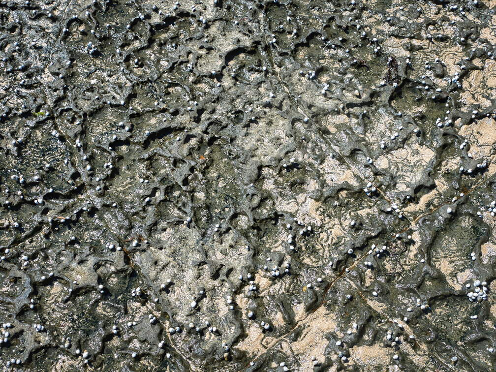 Australien 20131228 0428