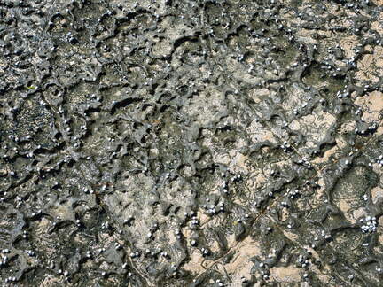 Australien 20131228 0428