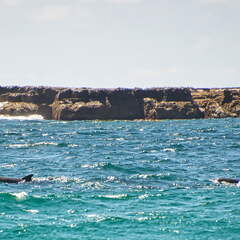 Australien 20131228 0434