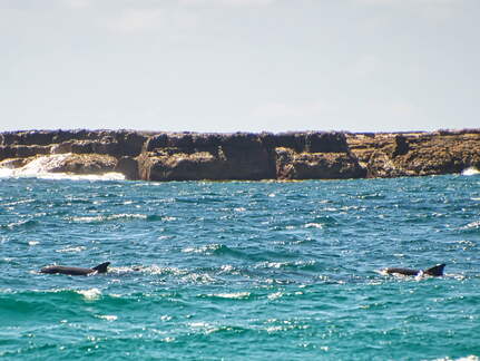 Australien 20131228 0434