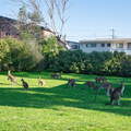 Australien 20131228 0460