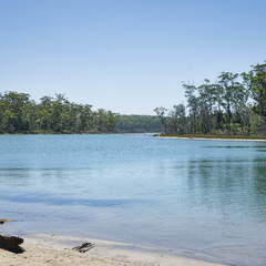 Australien 20131229 0462