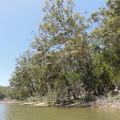 DSC06957