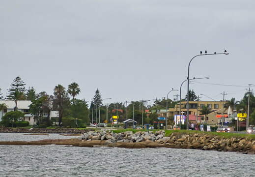 Australien 20131230 0485