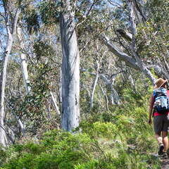 Australien 20140102 0541
