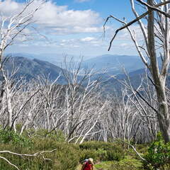 Australien 20140104 0576