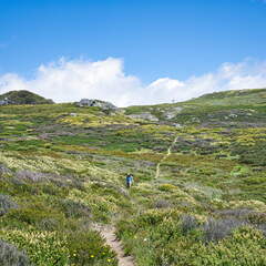 Australien 20140104 0584