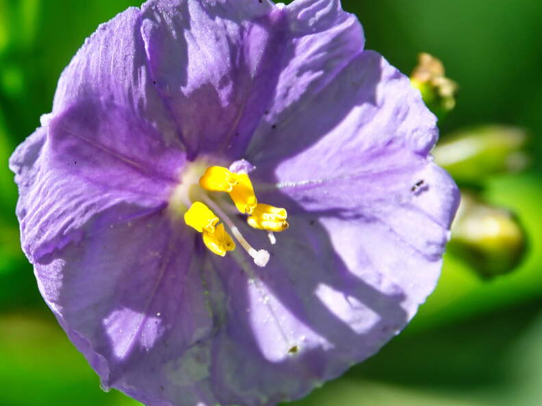 Australien 20140105 0601