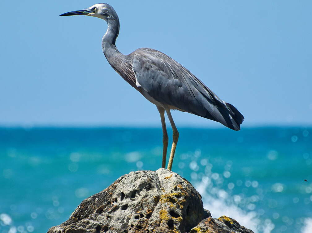 Australien 20140105 0611