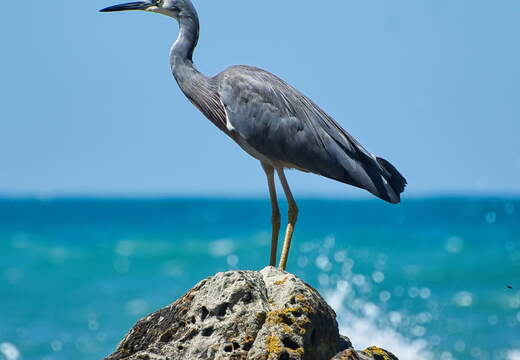 Australien 20140105 0611