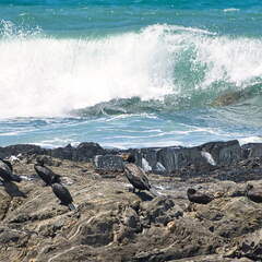 Australien 20140105 0613