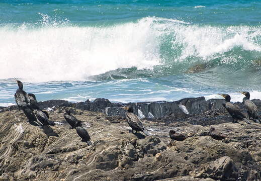 Australien 20140105 0613