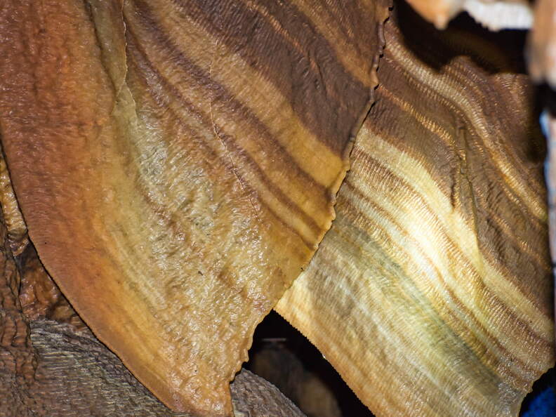 Australien 20140106 0633