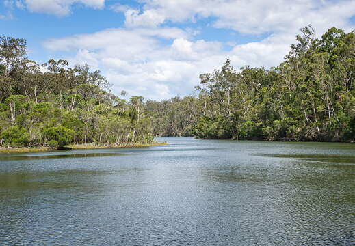Australien 20140106 0662