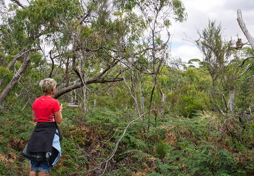 Australien 20140107 0695