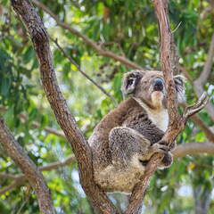 Australien 20140107 0723