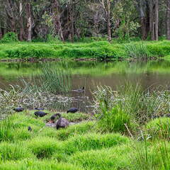 Australien 20140107 0732