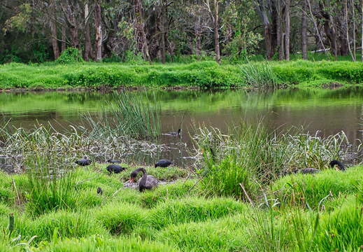 Australien 20140107 0732