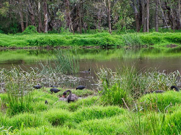 Australien 20140107 0732
