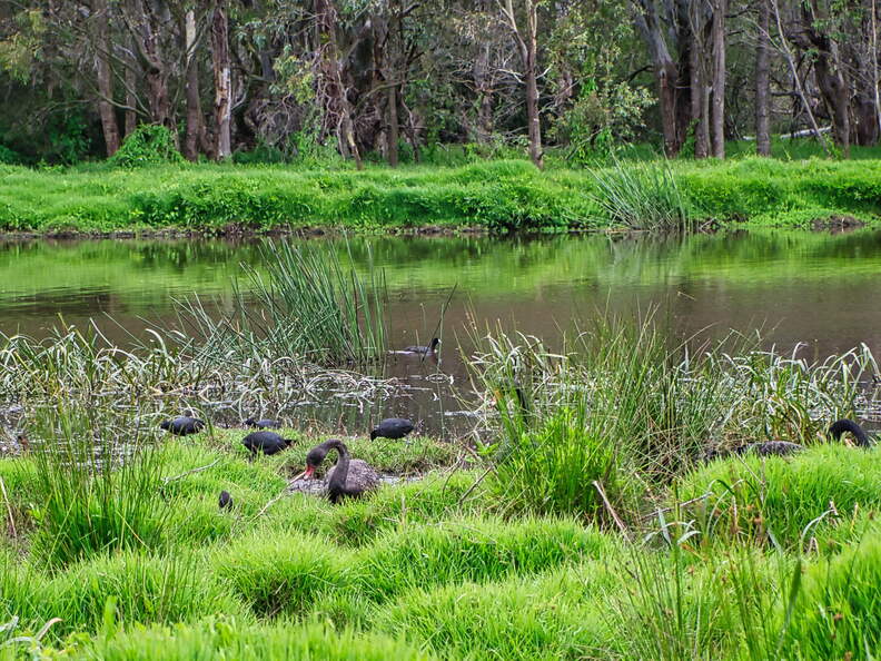 Australien 20140107 0732