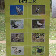 Australien 20140107 0733