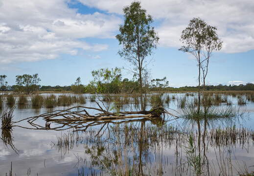 Australien 20140107 0734