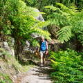 Australien 20140108 0755