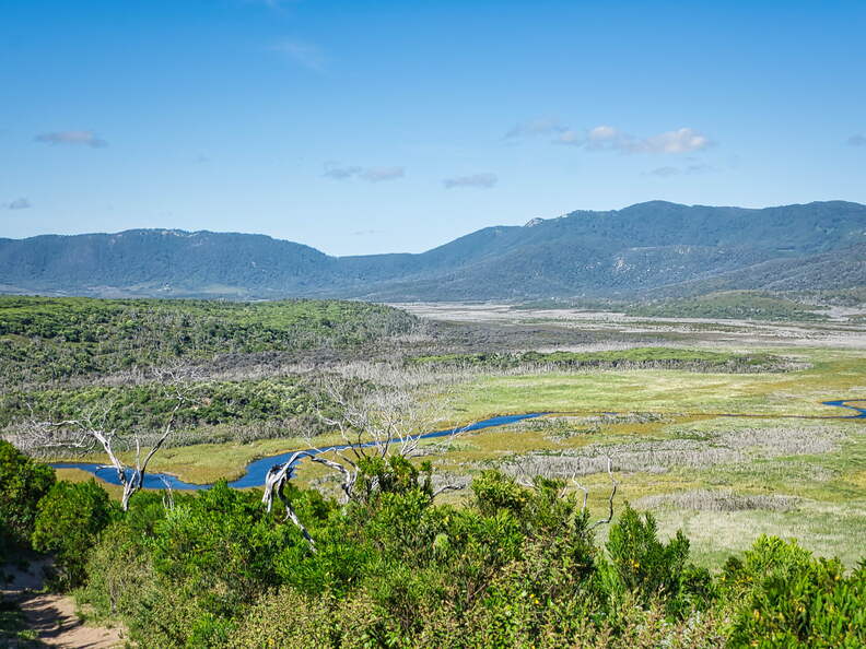 Australien 20140108 0782