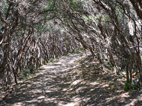 Australien 20140109 0801