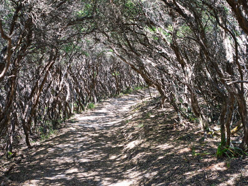 Australien 20140109 0801