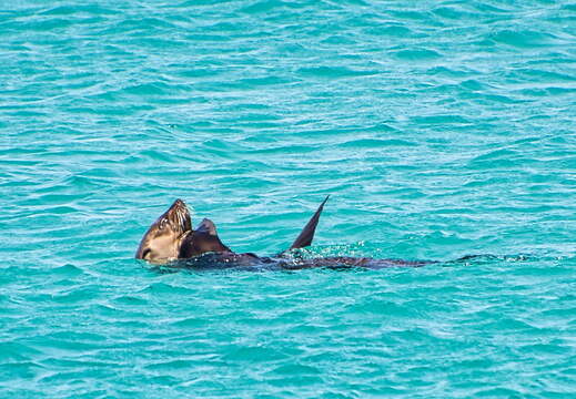 Australien 20140109 0804