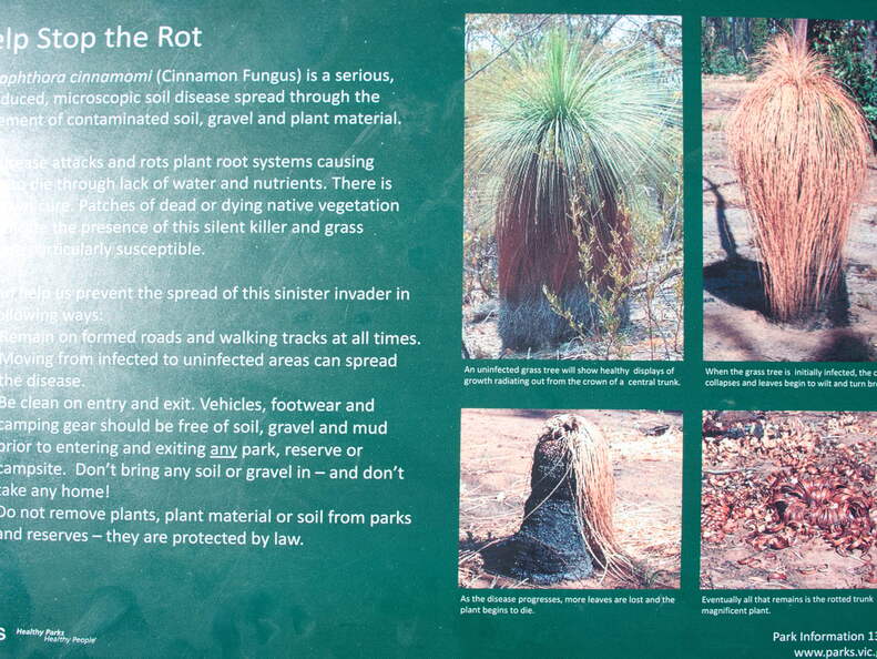 Australien 20140109 0806