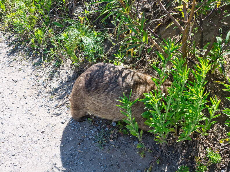 Australien 20140109 0810