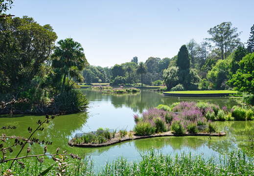 Australien 20140113 0853