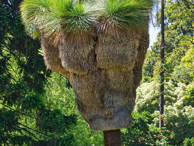 Australien 20140113 0855