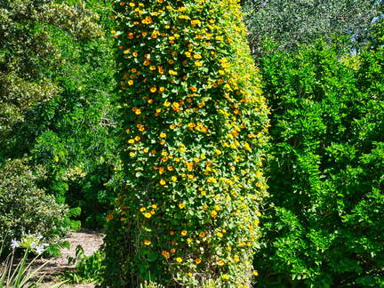 Australien 20140113 0856